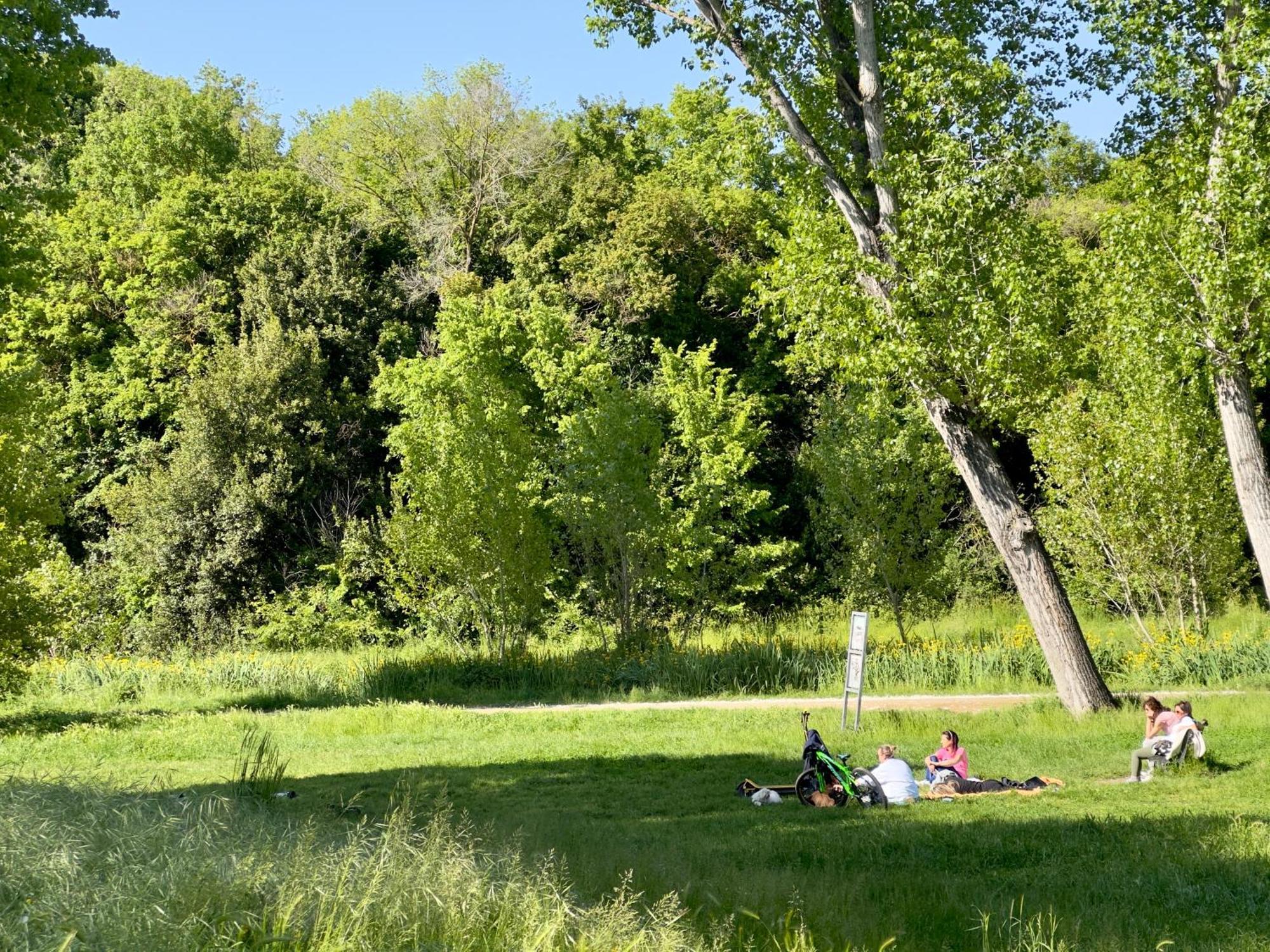 Apartamento Olimpia Pamphili - Centro Storico Di - Gianicolo Trastevere San Pietro